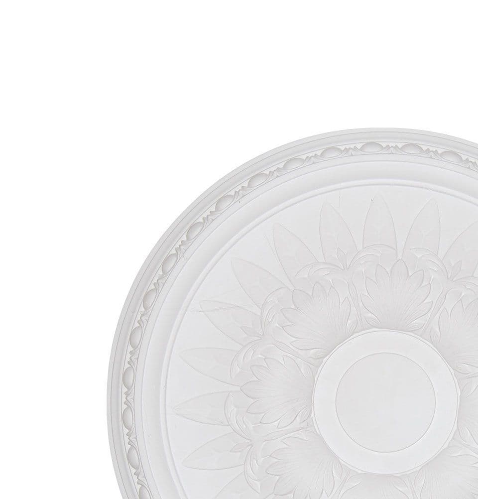 Large Egg and Fern Plaster Ceiling Rose 540mm
