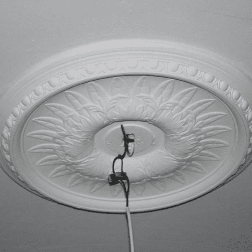 Large Egg and Fern Plaster Ceiling Rose 540mm