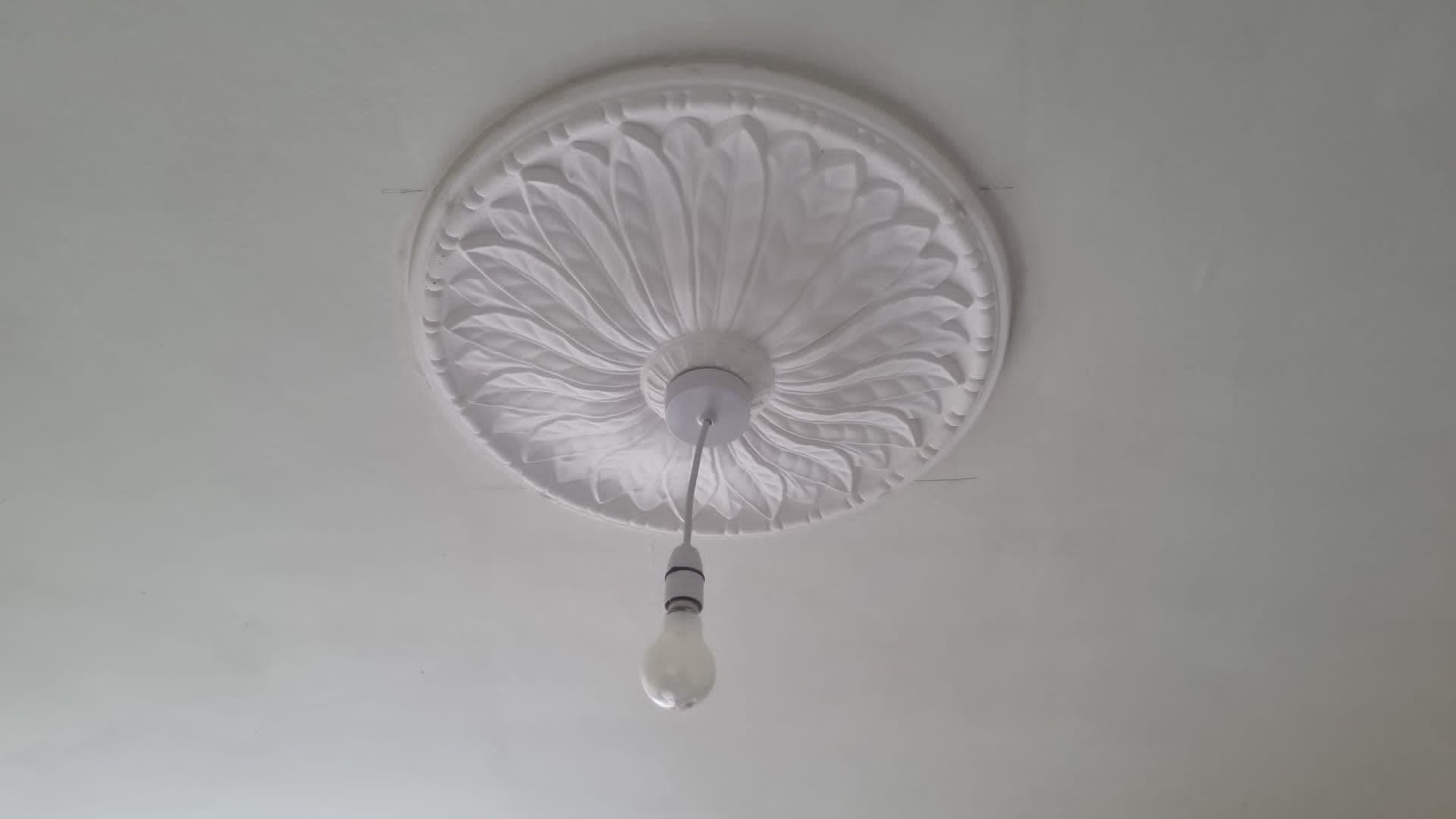 Large Spread Leaf Plaster Ceiling Rose 610mm