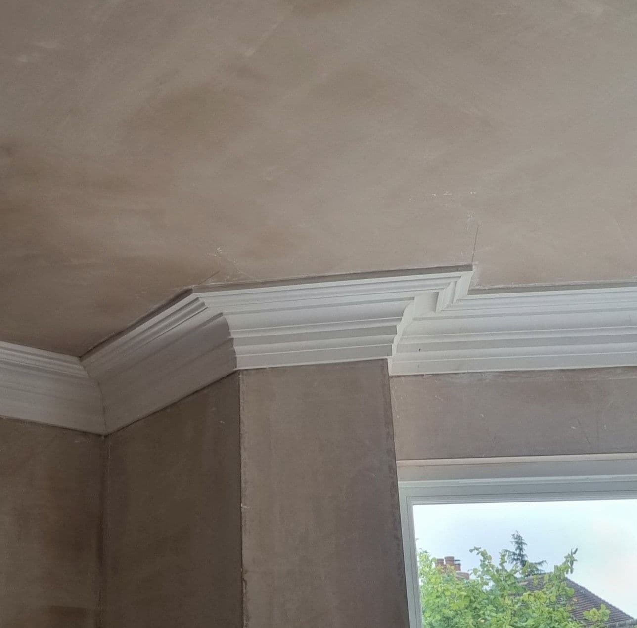 Park Run Plaster Coving 214mm x 184mm