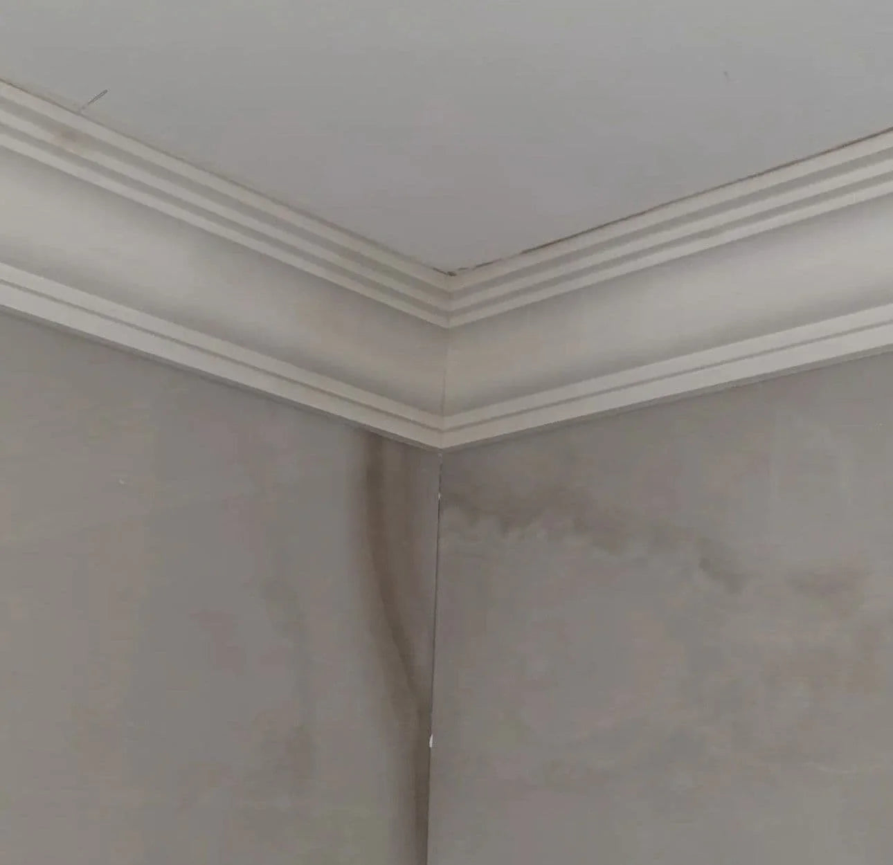 Large Traditional Ogee Plaster Coving 120mm x 160mm - 24m Pack