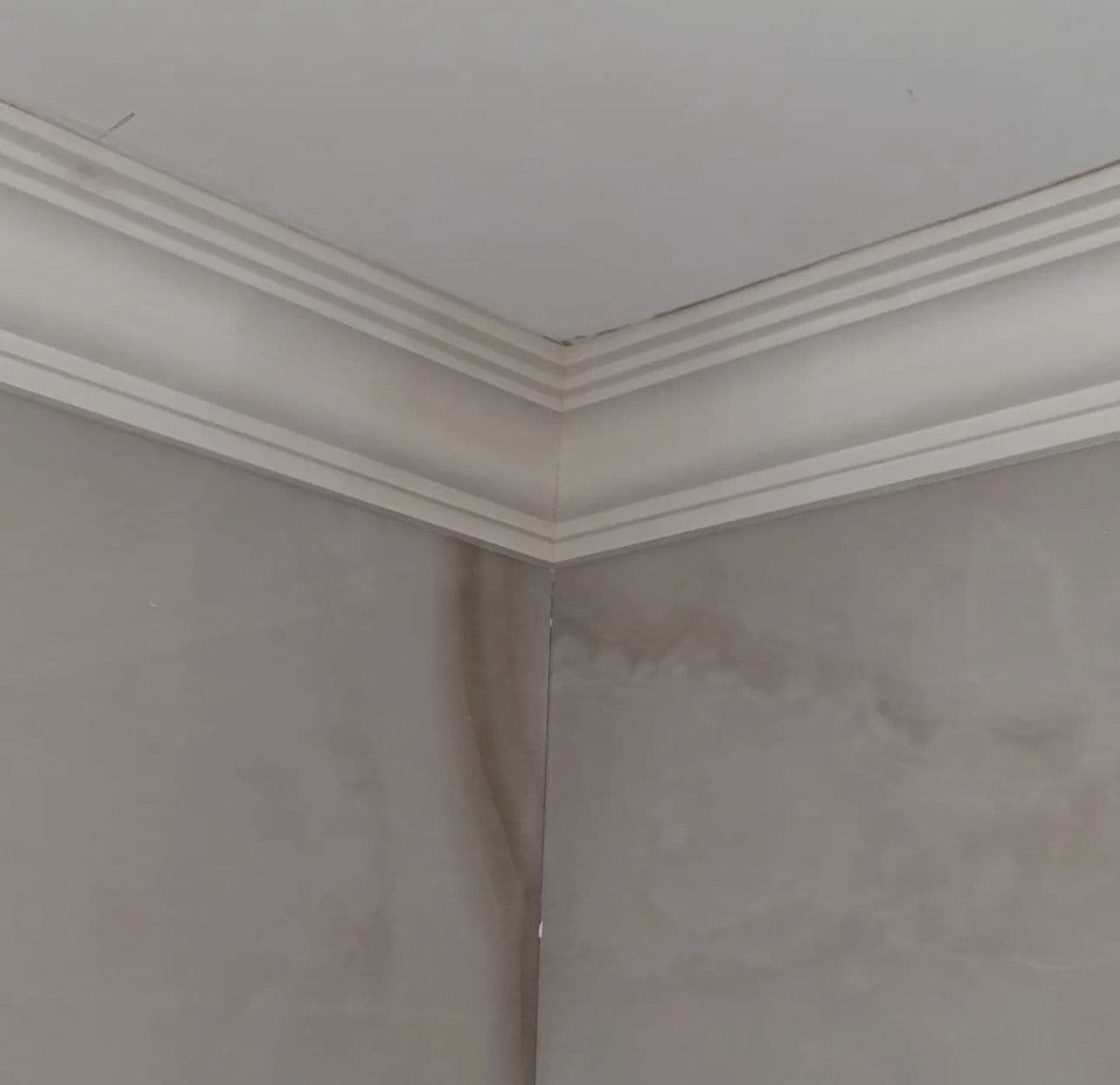 Victorian Ogee Plaster Coving 100mm x 120mm