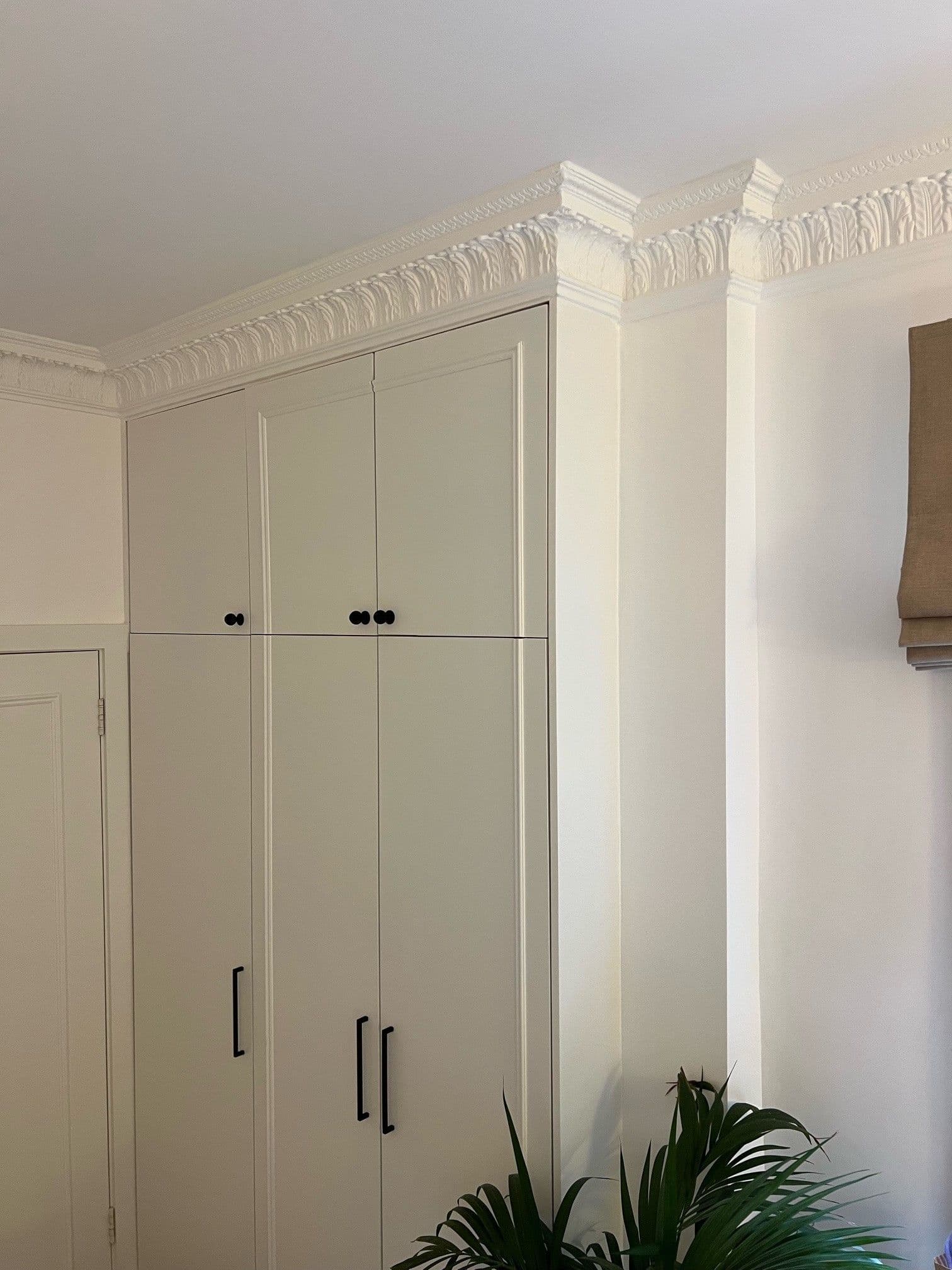 Regal Acanthus Leaf Plaster Coving 144mm x 160mm