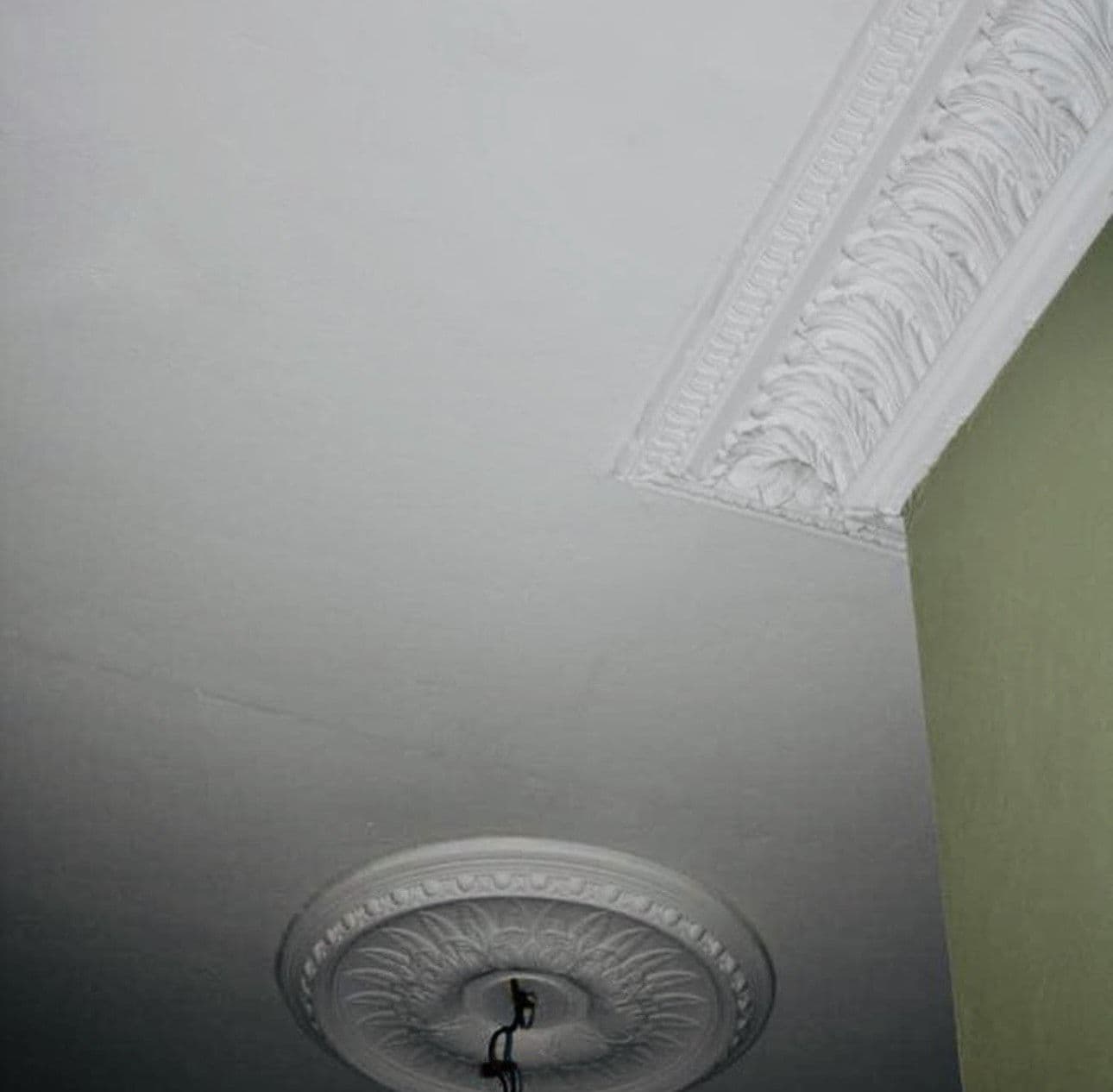 Regal Acanthus Leaf Plaster Coving 144mm x 160mm