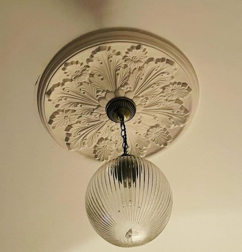 Fanned Leaf Plaster Ceiling Rose 590mm