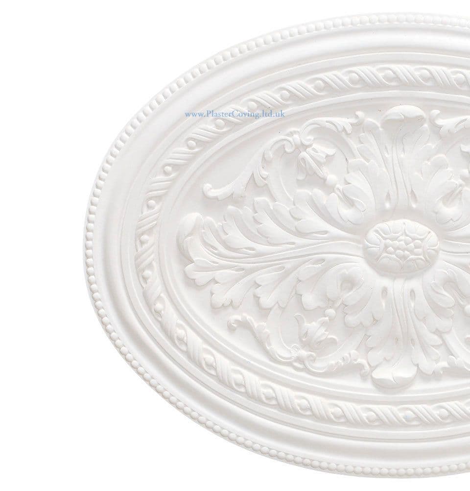 Acanthus and Bead Oval Plaster Ceiling Rose 600mm by 446mm