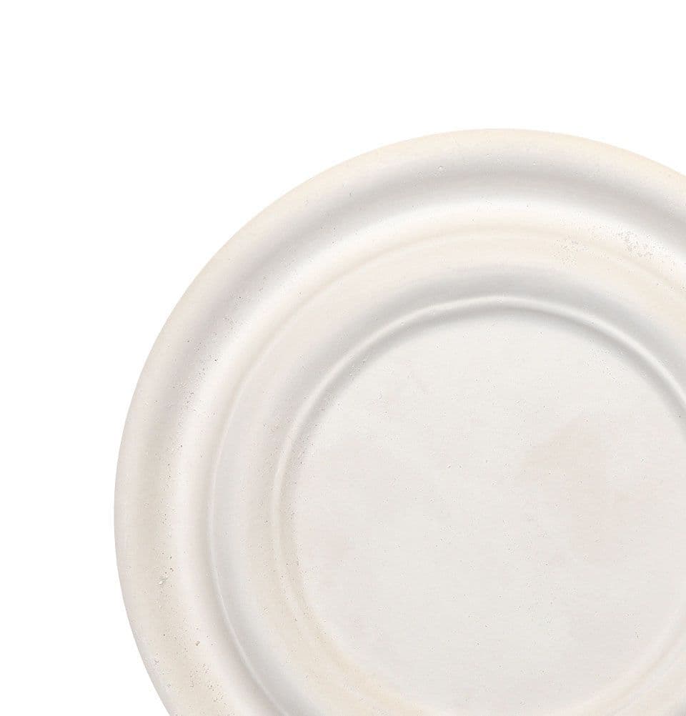 9inch Deep Plaster Ceiling Rose 229mm