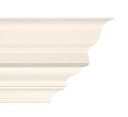 Large Georgian Plaster Coving 143mm x 156mm
