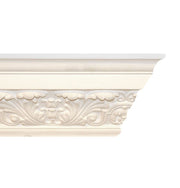 Large Royal Acanthus Leaf Plaster Coving 137mm x 169mm